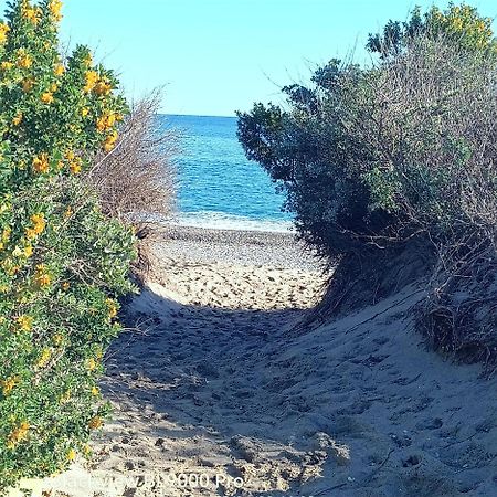 Mer Et Dune - Les Caravelles Saint-Cyprien  Esterno foto